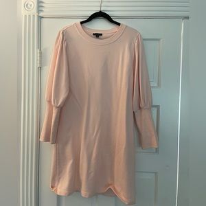 JCrew Sweatshirt Dress